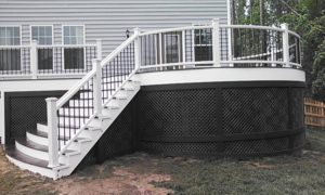 Trex Deck by Felice Decks