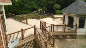 Trex Deck by Felice Decks