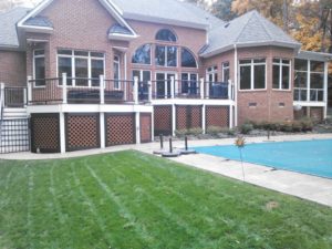 Trex Deck by Felice Decks